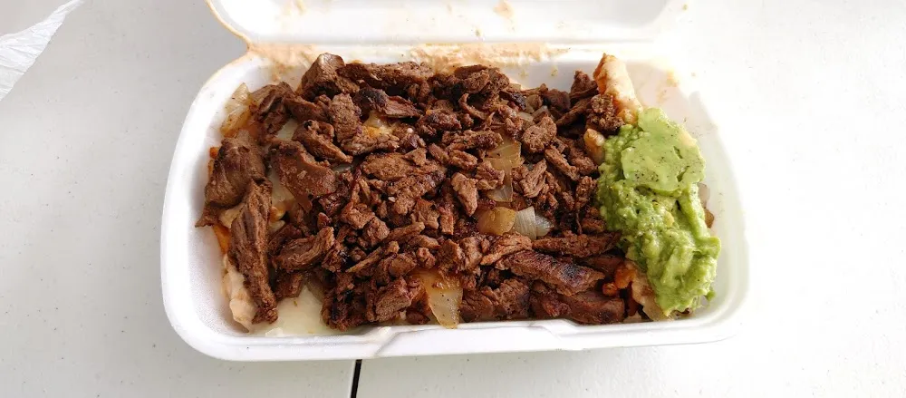 Carne Asada Fries